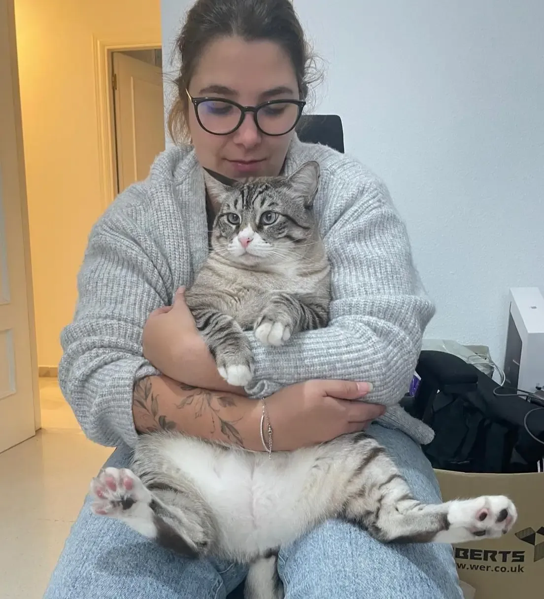 Patricia Cat Care, cat sitter in Málaga